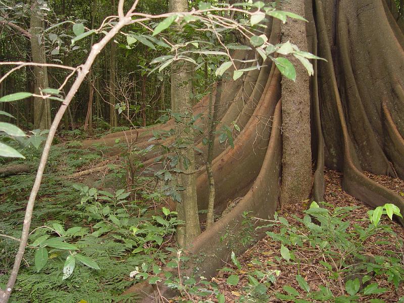 wingham-brush 012.jpg
